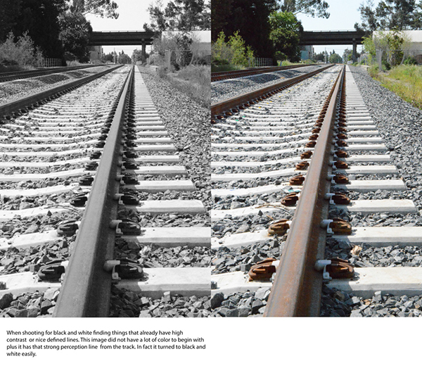%_tempFileNameElizabeth%20Chabot_558410_assignsubmission_file__train_track2%