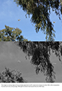 %_tempFileNameElizabeth%20Chabot_558410_assignsubmission_file_egret_dance%