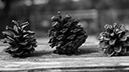 %_tempFileNameSusi%20Larsen_579650_assignsubmission_file_3TinyCones%