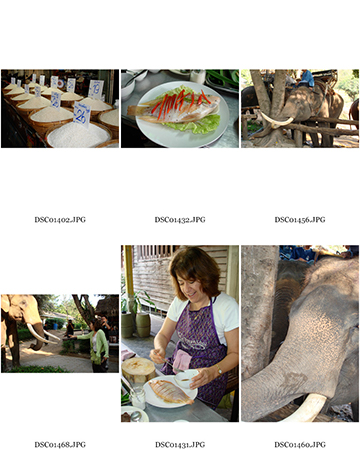 %_tempFileNameToni%20Weingarten_289415_assignsubmission_file_ContactSheet-003%