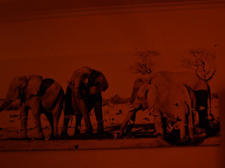 %_tempFileNameCamerin%20Rencken_148998_assignsubmission_file_DSC_0193%