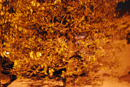 %_tempFileNameJessica%20Bush_144408_assignsubmission_file_ISO%20Hi%201%20Holding%20Outdoor%