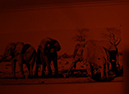 %_tempFileNameCamerin%20Rencken_148998_assignsubmission_file_DSC_0192%