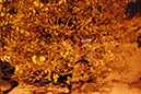 %_tempFileNameJessica%20Bush_144408_assignsubmission_file_ISO%20Hi%201%20Holding%20Outdoor%