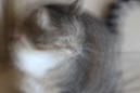 %_tempFileNameToni%20Weingarten_142918_assignsubmission_file_IMG_0172%