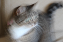 %_tempFileNameToni%20Weingarten_142918_assignsubmission_file_IMG_0174%