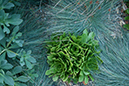 %_tempFileNameAnastasia%20Hockinson_504104_assignsubmission_file_landscape1%