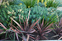 %_tempFileNameAnastasia%20Hockinson_504104_assignsubmission_file_landscape10%