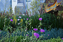 %_tempFileNameAnastasia%20Hockinson_504104_assignsubmission_file_landscape11%