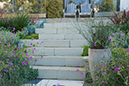 %_tempFileNameAnastasia%20Hockinson_504104_assignsubmission_file_landscape7%