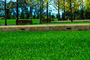 %_tempFileNameJessica%20Bush_504903_assignsubmission_file_064%20Edited%