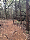 %_tempFileNameMeghan%20Brabant_505190_assignsubmission_file_forrest%