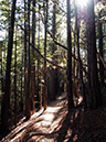 %_tempFileNameGregoryArt%2082-Annadel-16%