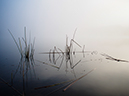 %_tempFileNameGregoryArt%2082-Annadel-19%