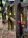 %_tempFileNameGregoryArt%2082-Annadel-3%