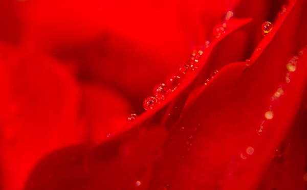 %_tempFileNameLutvijaHrnjic_DSC_0350P%