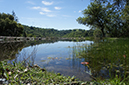 %_tempFileNameAlex%20Morgan-wine%20lake%