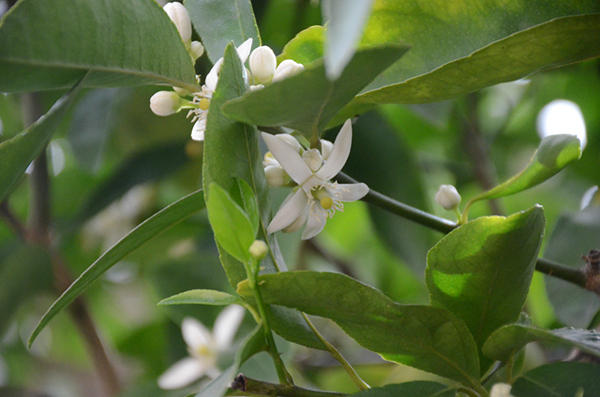 %_tempFileNameElizabeth%20Martinez_864581_assignsubmission_file_092%