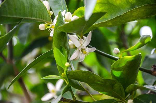 %_tempFileNameElizabeth%20Martinez_864581_assignsubmission_file_092_1%