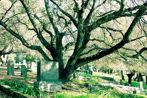 %_tempFileNameJamie%20Farries_864566_assignsubmission_file_CCEdited%