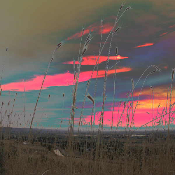 %_tempFileNameKristine%20Comer_864569_assignsubmission_file_idaho%20fields%20layer%201%