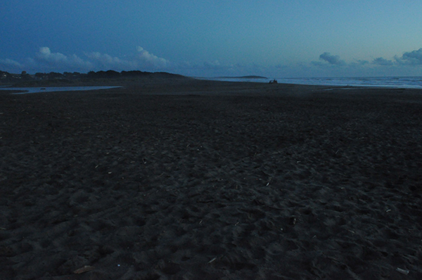 %_tempFileNameMarc%20Mcdonald_864564_assignsubmission_file_Doran%20Bech%202%20Before%