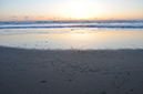 %_tempFileNameMarc%20Mcdonald_864564_assignsubmission_file_Doran%20Beach%201%20Before%