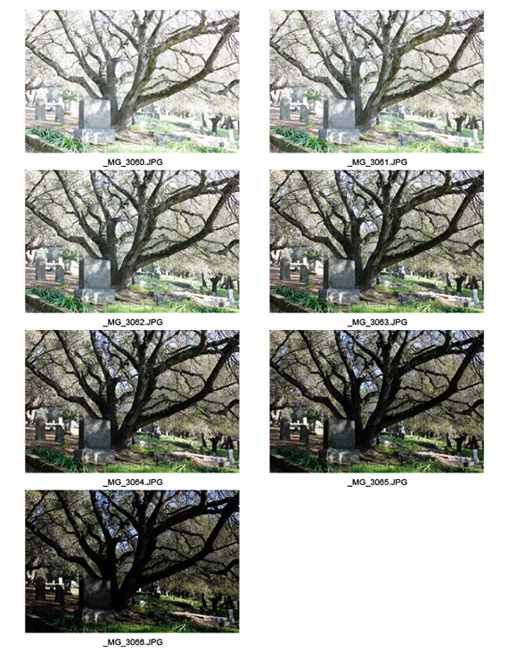 %_tempFileNameJamie%20Farries_845191_assignsubmission_file_Contact%20Sheet%202%