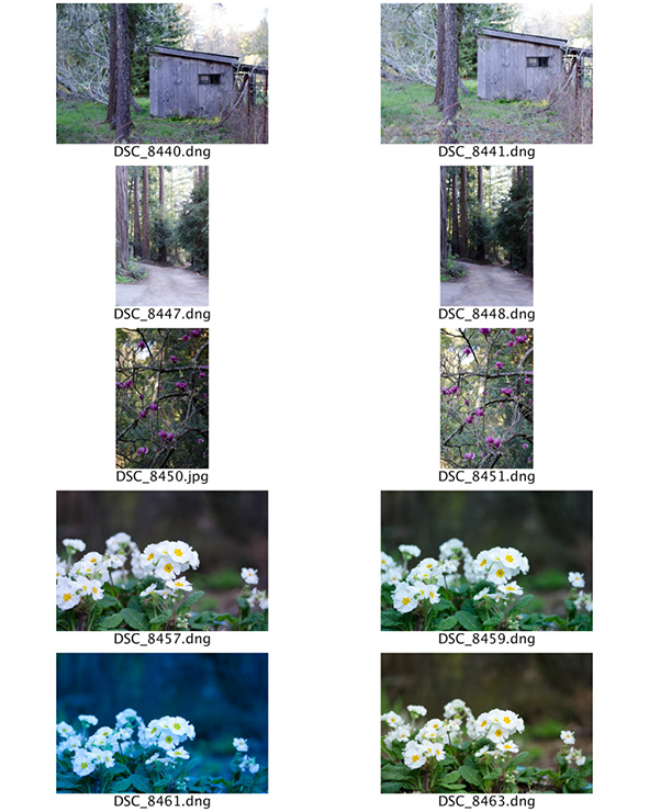 %_tempFileNameTifani%20Beecher_845203_assignsubmission_file_ContactSheet-002%