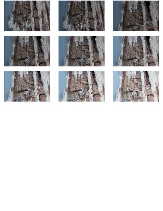 %_tempFileNameTomara%20Buhr_845202_assignsubmission_file_ContactSheet-002%