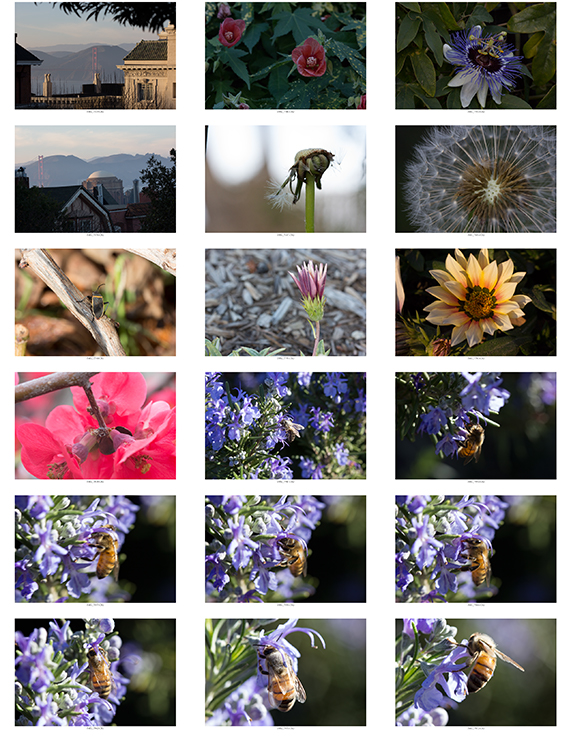 %_tempFileNameTomara%20Buhr_845202_assignsubmission_file_ContactSheet-003%