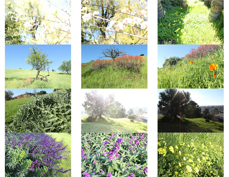 %_tempFileNamejolie%20baskett_845176_assignsubmission_file_ContactSheet-003%