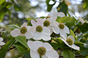 %_tempFileNameElizabeth%20Martinez_883843_assignsubmission_onlinetext_unknown%20%