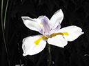 %_tempFileNameKatie%20Karns_883848_assignsubmission_file_10%