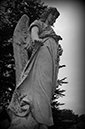 %_tempFileNameKristine%20Comer_883816_assignsubmission_file_Angel%20by%20tree%
