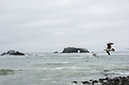 %_tempFileNameSilvia%20Rodriguez_883824_assignsubmission_file_TMS_4234%