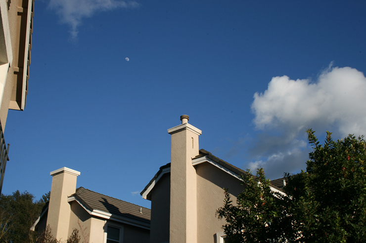 %_tempFileNameJustin%20Nguyen_841360_assignsubmission_file_IMG_4541%