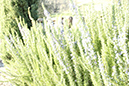 %_tempFileNameAndrew%20Egan_841342_assignsubmission_file_High_Iso%