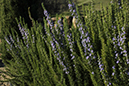 %_tempFileNameAndrew%20Egan_841342_assignsubmission_file_Low_ISO%