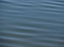 %_tempFileNameDick%20Ryerson_841346_assignsubmission_file_ISO%20%20200%