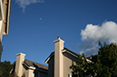 %_tempFileNameJustin%20Nguyen_841360_assignsubmission_file_IMG_4541%