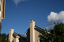 %_tempFileNameJustin%20Nguyen_841360_assignsubmission_file_IMG_4543%