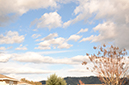 %_tempFileNameViviana%20Martinez_841354_assignsubmission_onlinetext_Cloudywhite%20balance%