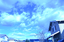 %_tempFileNameViviana%20Martinez_841354_assignsubmission_onlinetext_DSC_1476%