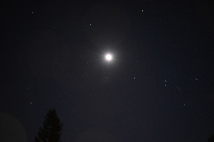 %_tempFileNameMegan%20Hiner_829524_assignsubmission_file_moon%203%