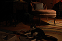 %_tempFileNameJamie%20Farries_829509_assignsubmission_file_2_ISO%
