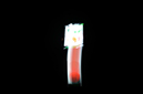 %_tempFileNameViviana%20Martinez_829532_assignsubmission_onlinetext_DSC_0403%