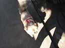 %_tempFileNameKatie%20Karns_848885_assignsubmission_file_IMG_0926%