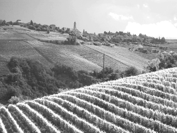 %_tempFileNameDick%20Ryerson_872257_assignsubmission_file_Nebbiola-infrared-filter%
