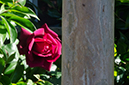%_tempFileNameElizabeth%20Martinez_872241_assignsubmission_file_DSC_3223%